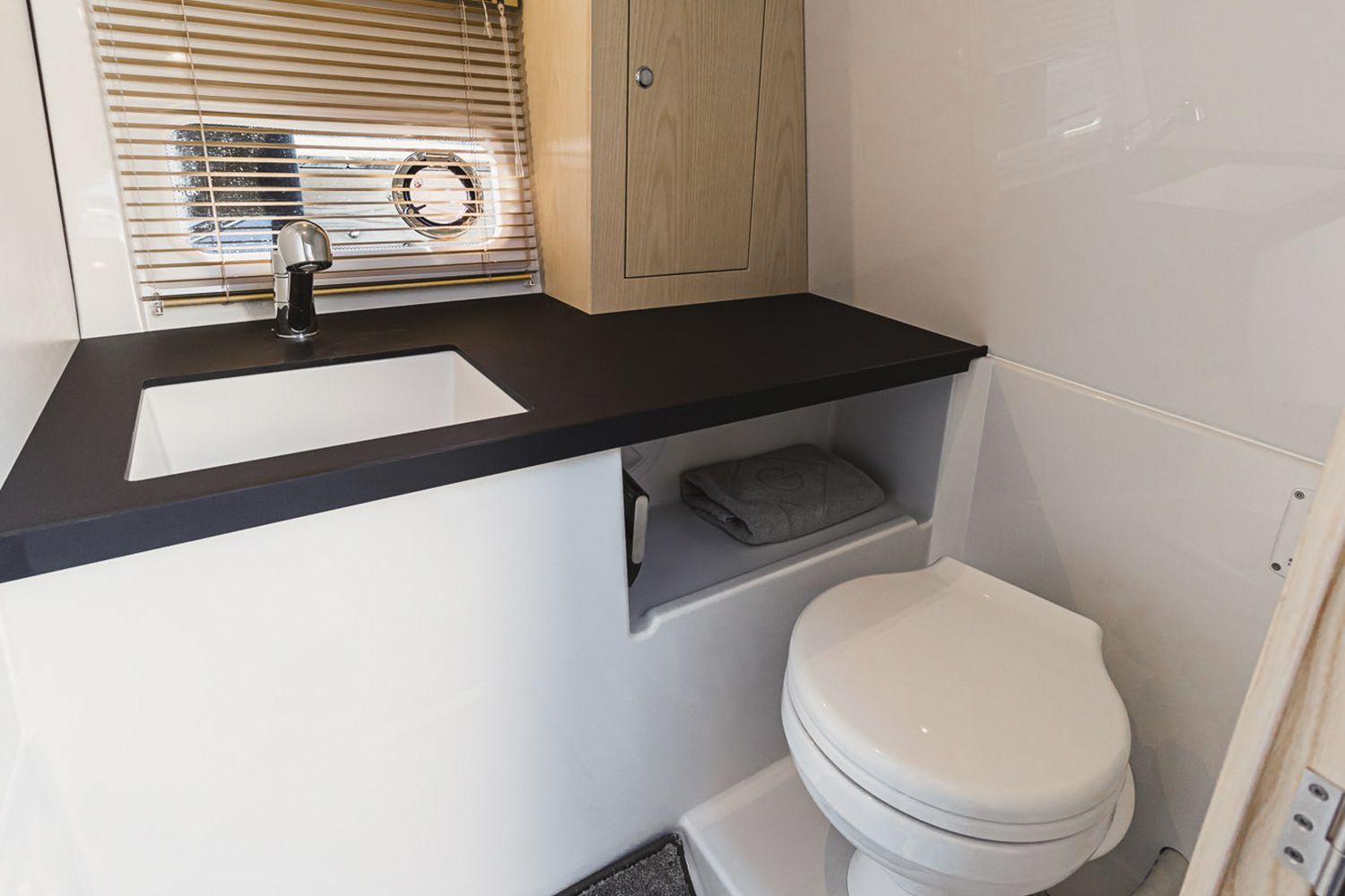 Sea water toilet with electric flush