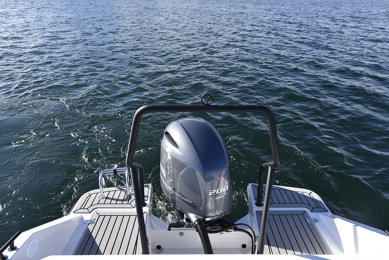 Swim platforms & boarding ladder