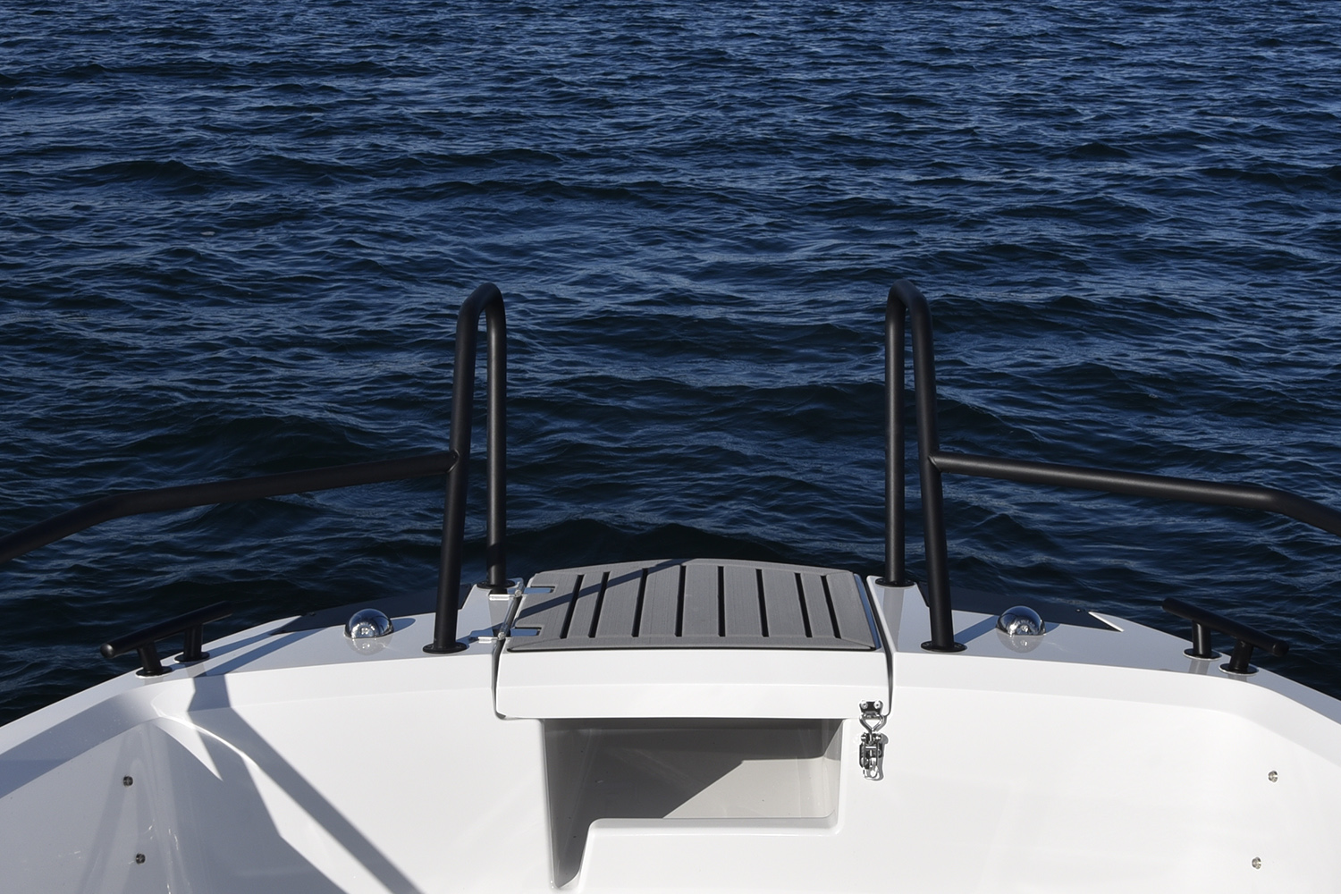 Stainless steel handrails, black